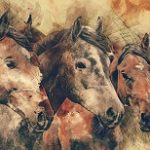 Peinture de chevaux