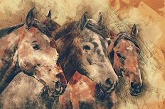Peinture de chevaux
